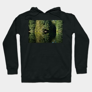 The Fishing Hole Hoodie